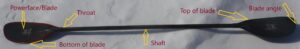 Idenification of the front of the kayak paddle