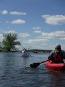 Horicon Marsh
