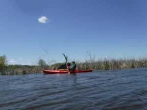 Horicon Marsh