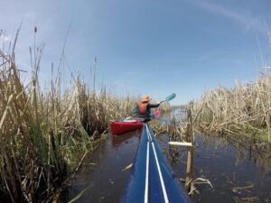 Hoircon Marsh