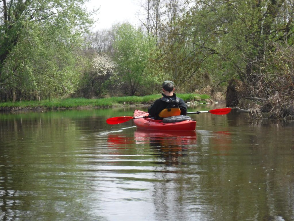 DSCF0219-1024x768 A person kayaking on a calm river surrounded by trees.