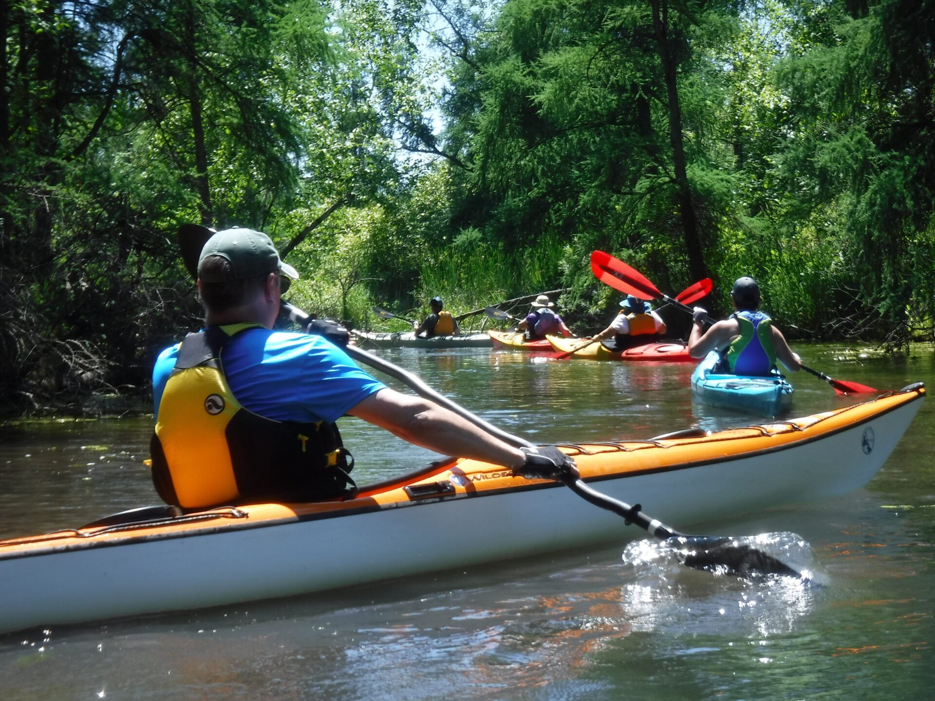 DSCF0881-Gy49Eu People kayaking on a calm river surrounded by green trees.