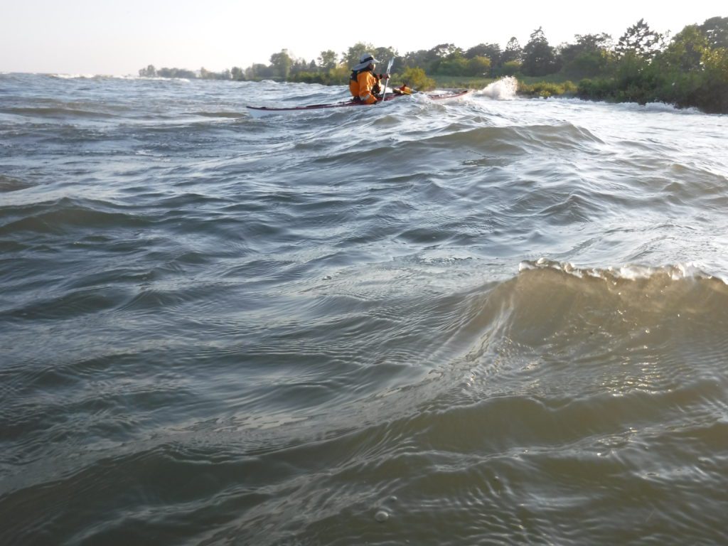DSCF0970-1024x768 A person swimming in choppy water near a shoreline with trees.