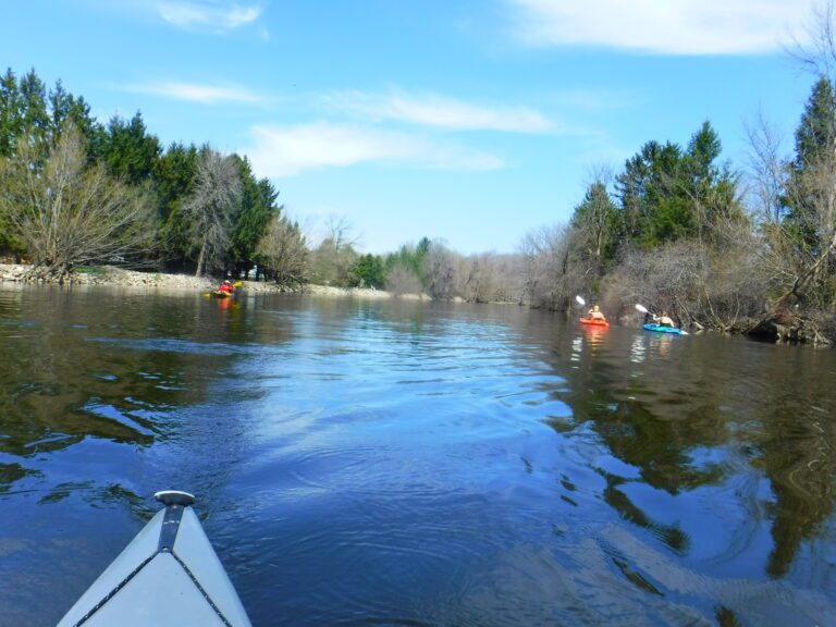 DSCF1416-768x576 People kayaking on a calm river surrounded by trees.