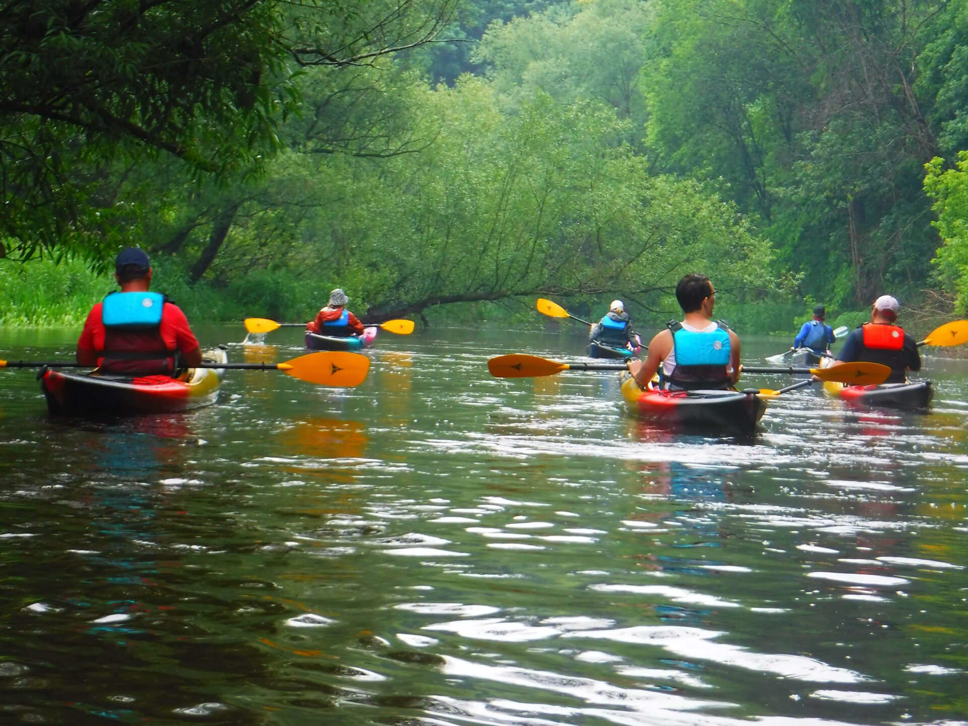 DSCF1842 People kayaking on a calm river surrounded by lush greenery.