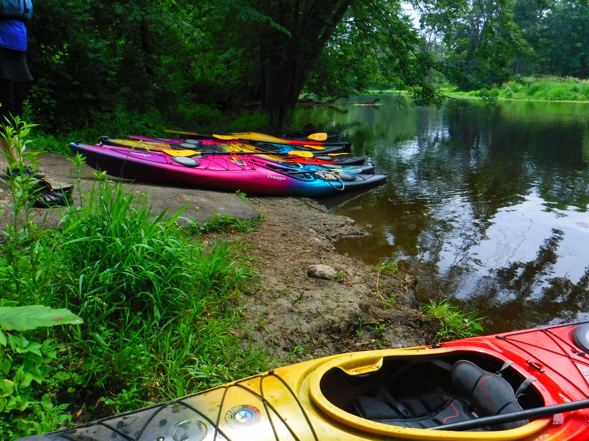 DSCF1858 Colorful kayaks lined up by a calm riverbank surrounded by greenery.