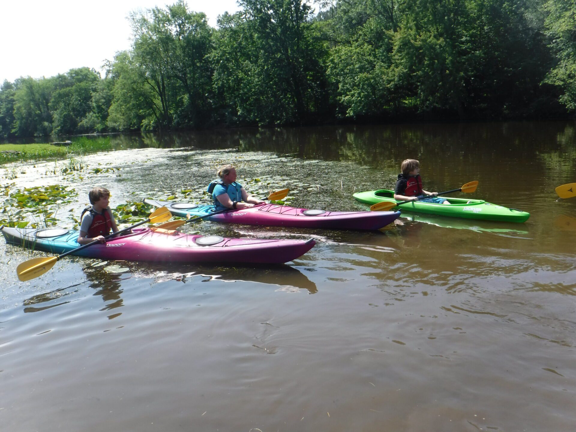Three people kayaking on a calm river surrounded by trees.