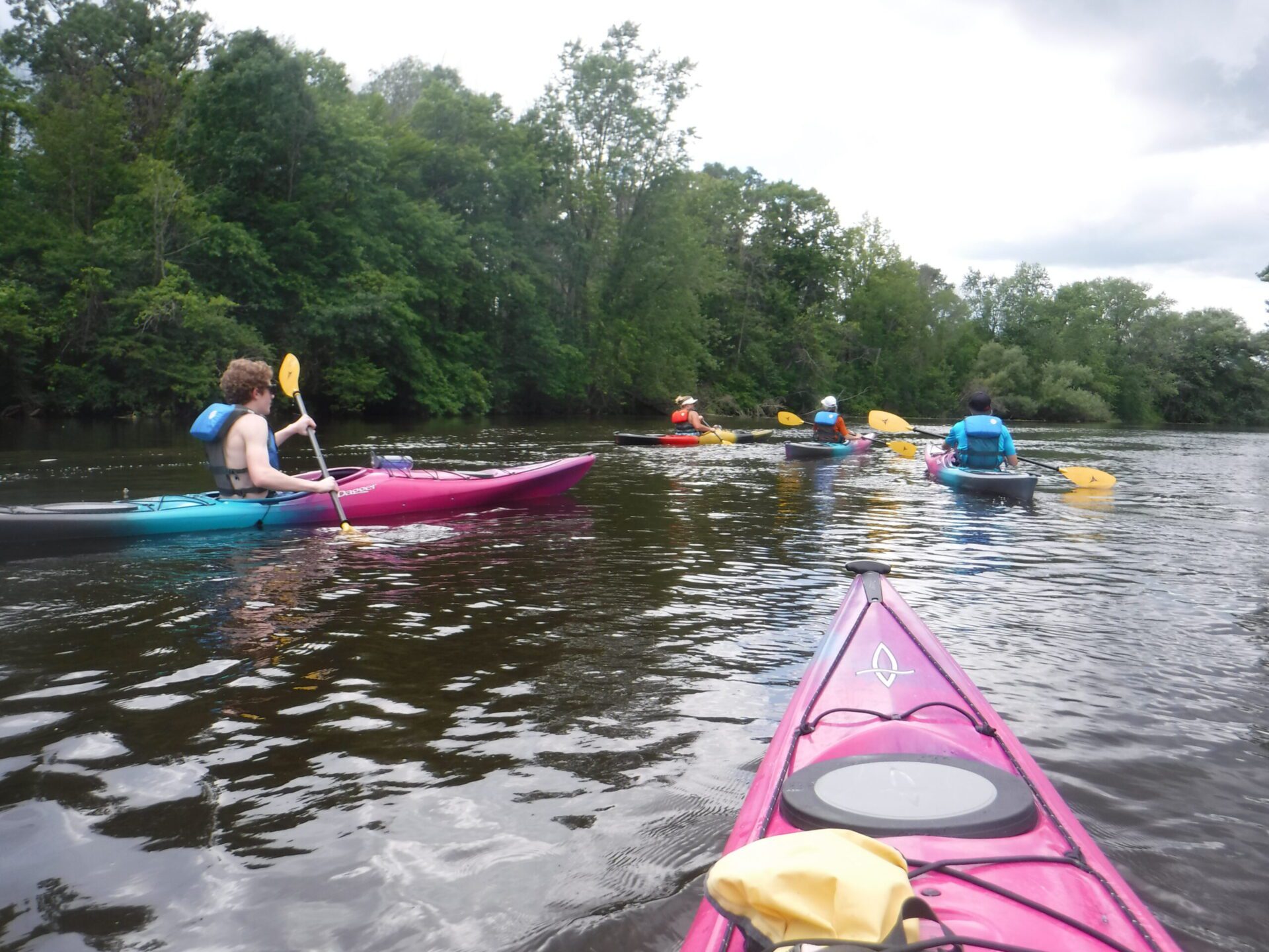 DSCF4417-scaled People kayaking in a calm river surrounded by trees.