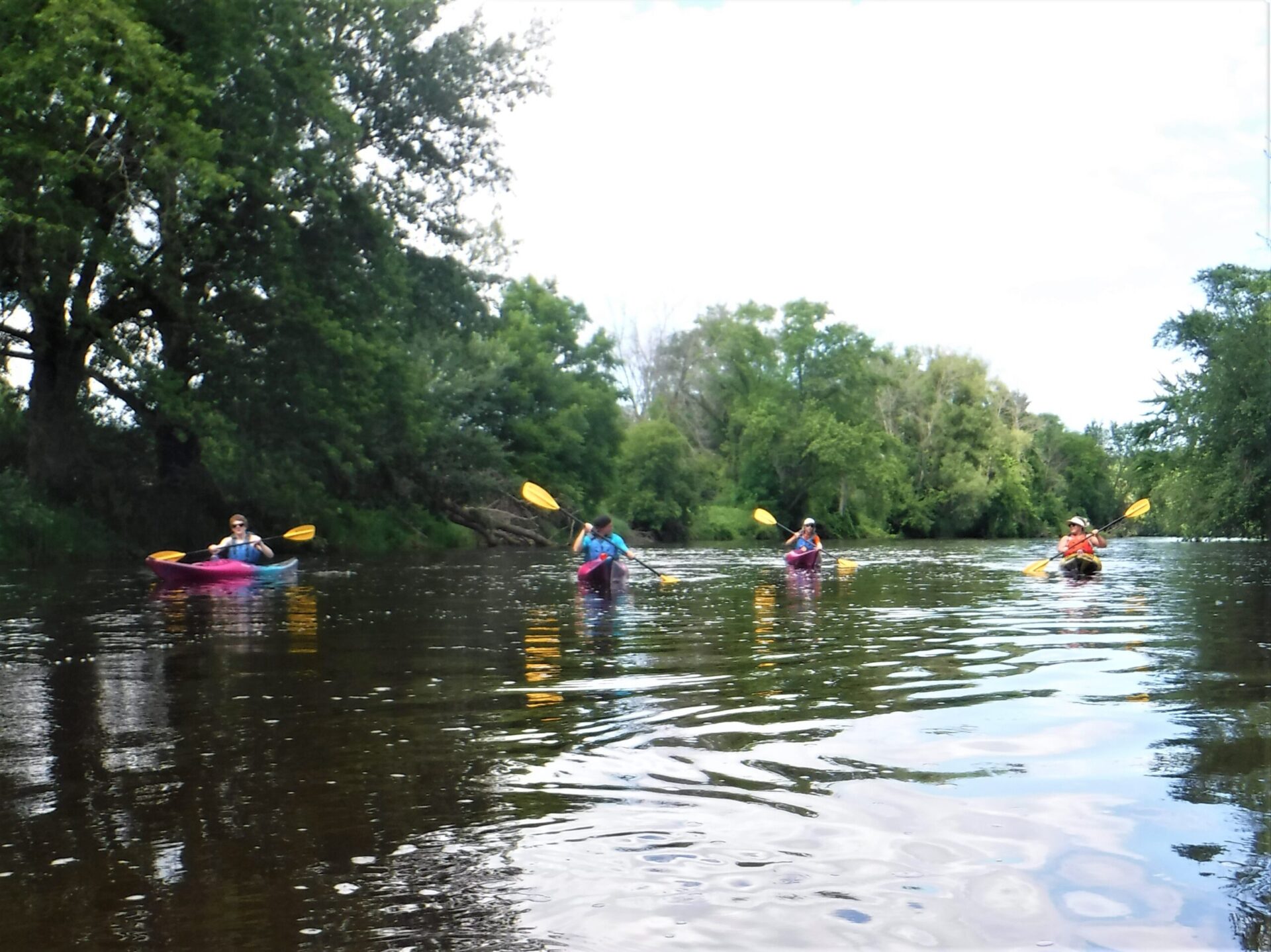 People kayaking on a calm river surrounded by trees.