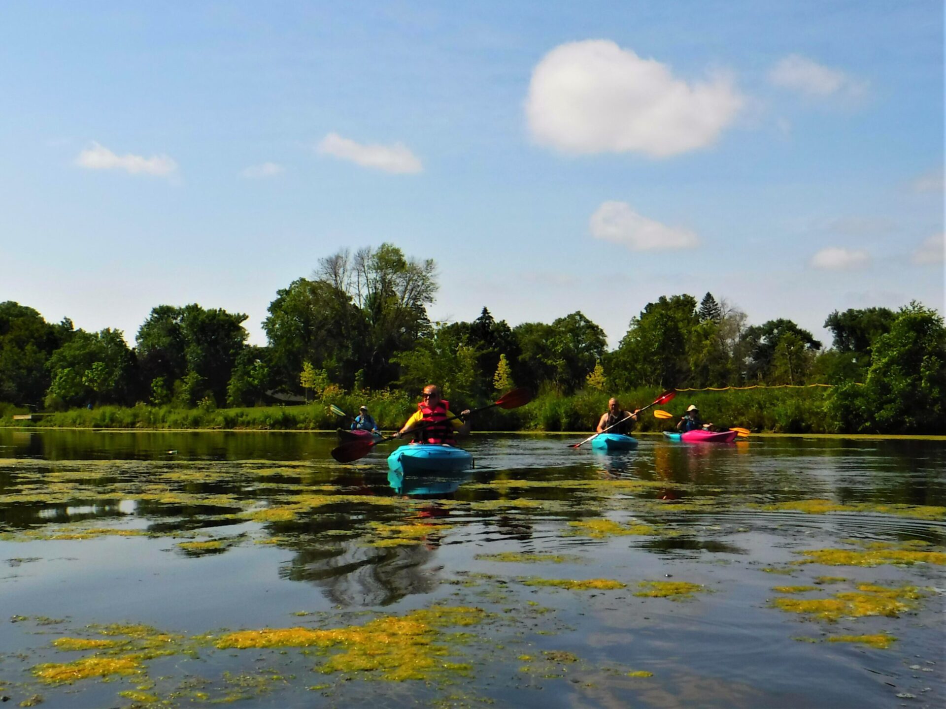 DSCF4661-scaled People kayaking on a calm lake surrounded by greenery.