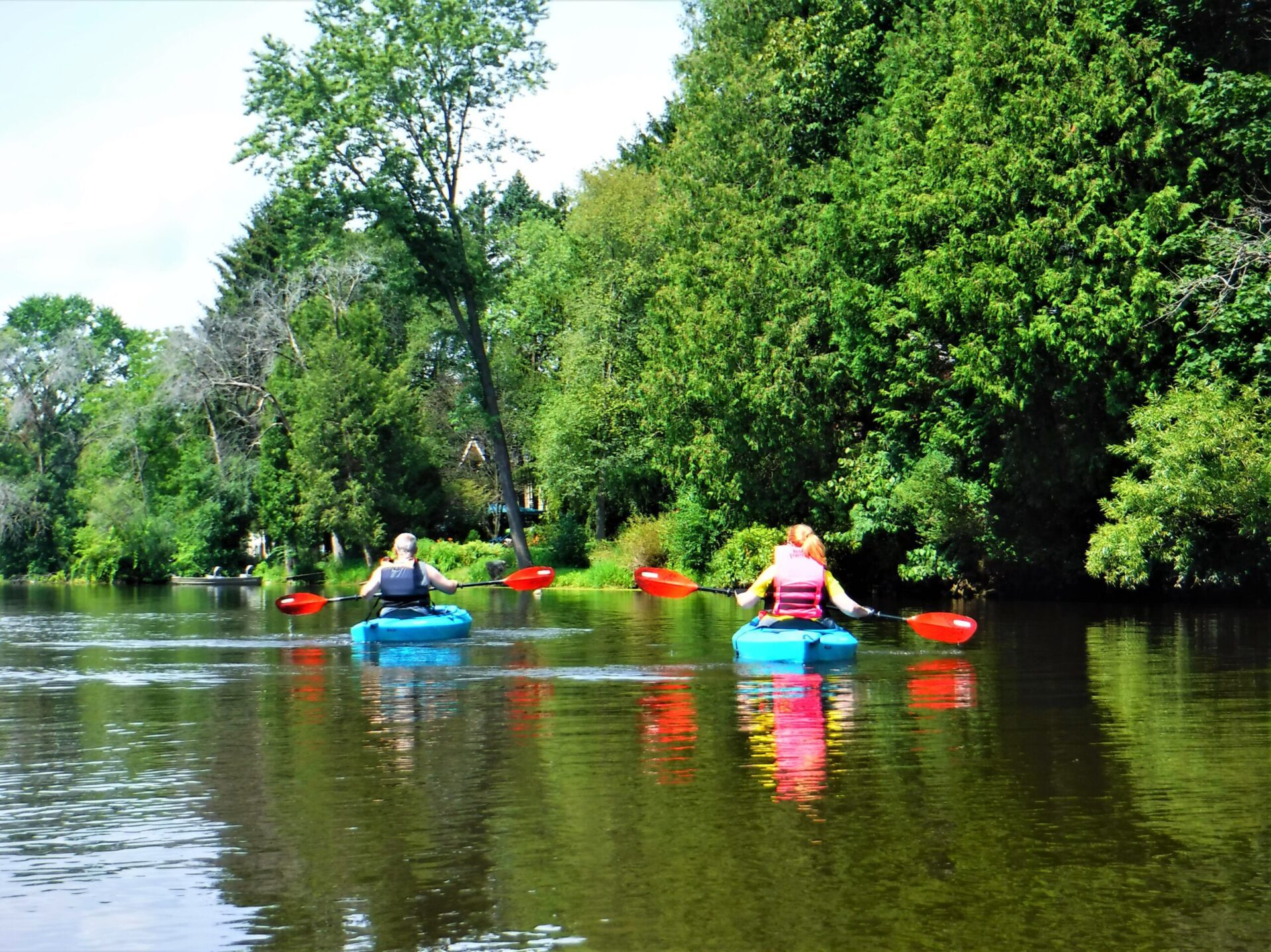 People kayaking on a calm river surrounded by lush greenery.
