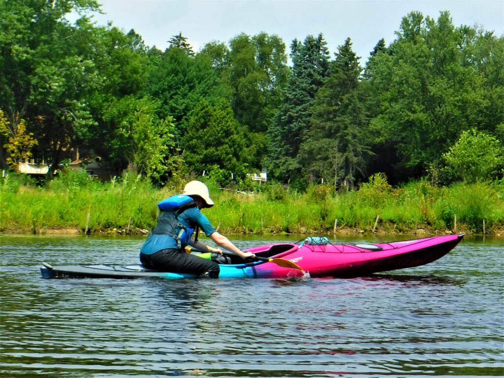 DSCF4680-1024x768 A person in a blue kayak paddling on a calm river surrounded by green trees.
