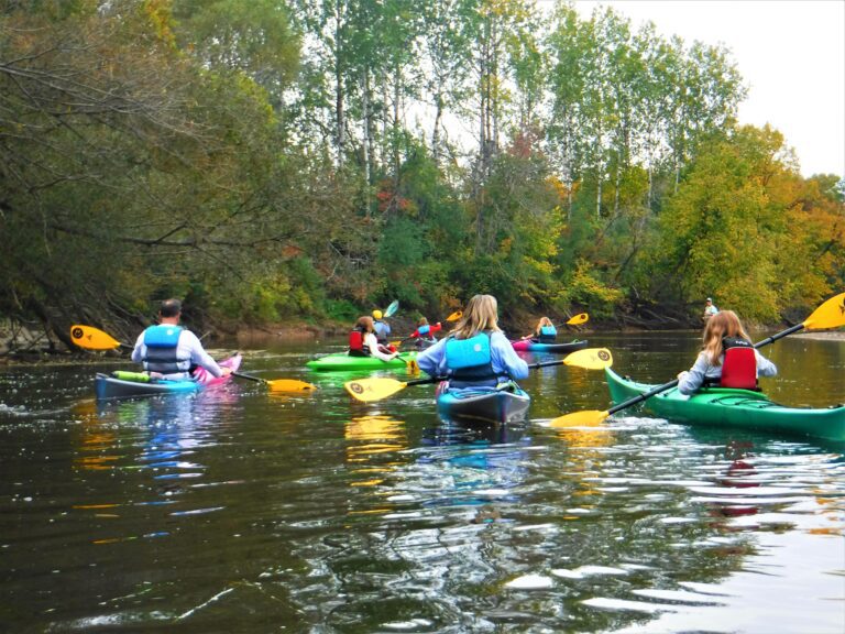 DSCF5027-768x576 Group kayaking on a calm river surrounded by trees.