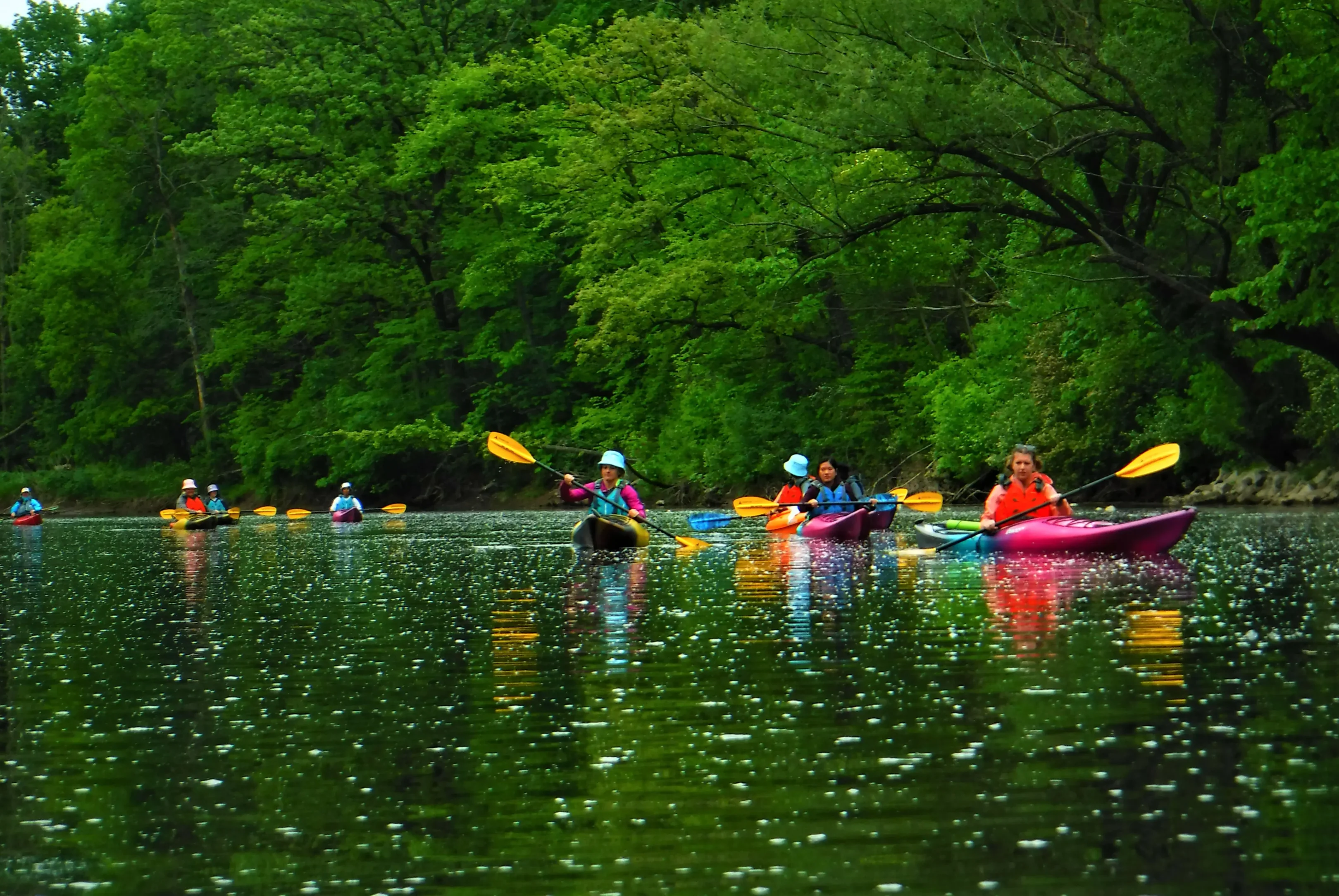 DSCF7341-scaled People kayaking on a calm river surrounded by lush green trees.