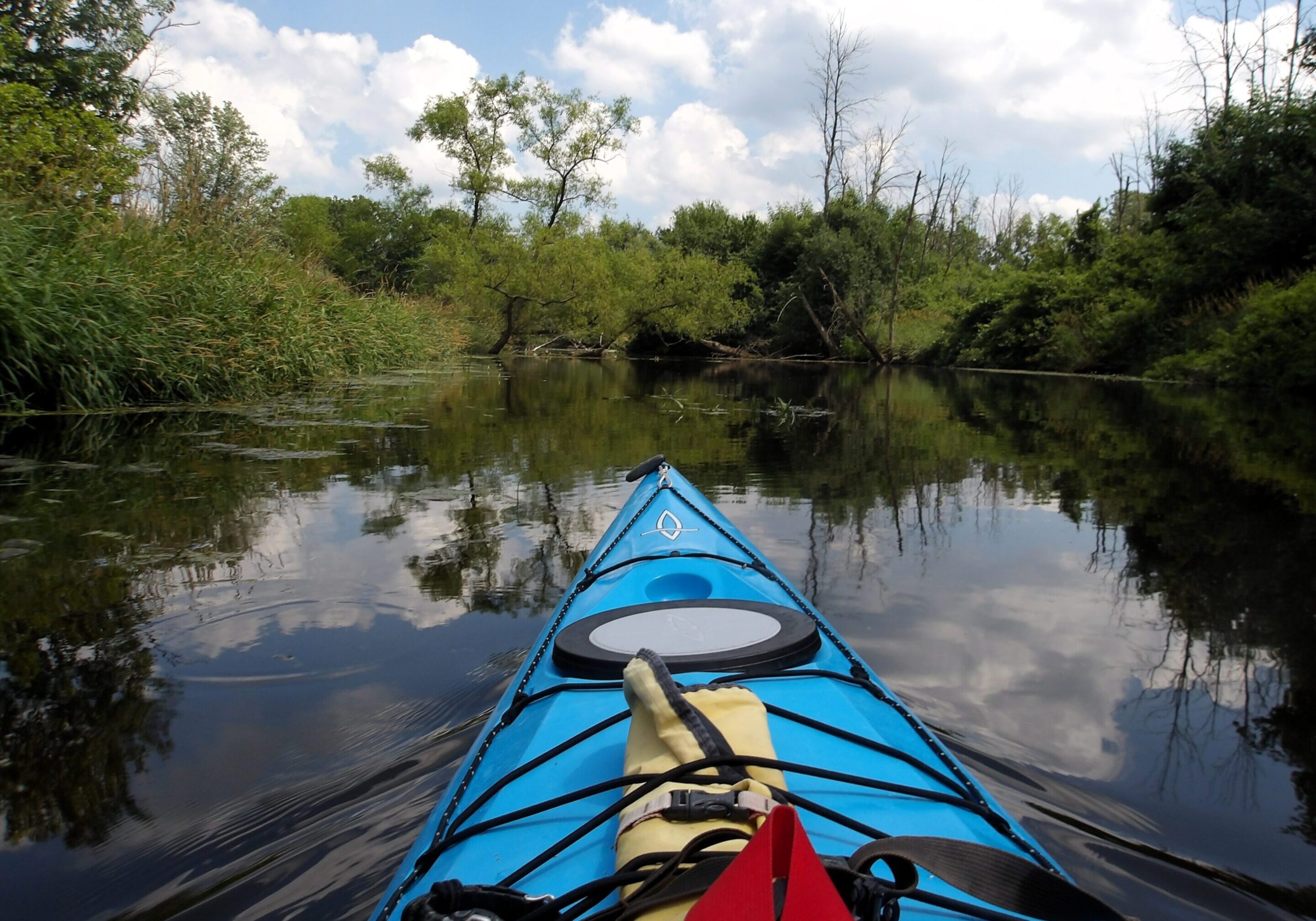 Kayaking through a calm, wooded river.