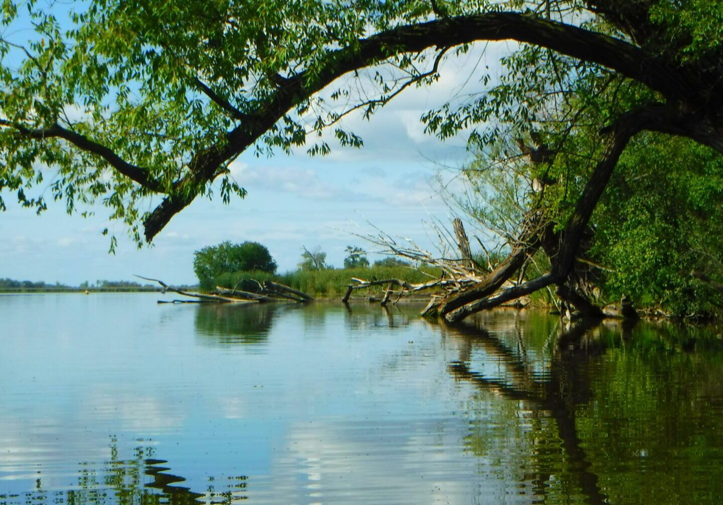 kayaking Horicon marsh