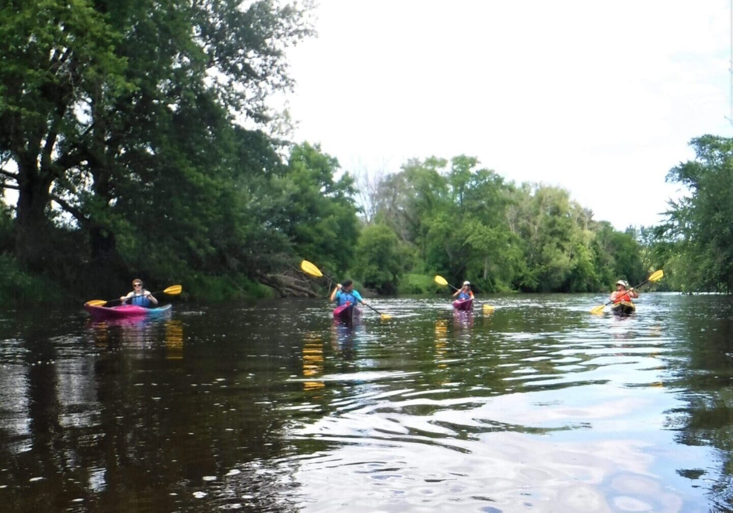 family paddle adventure on the Milwaukee river