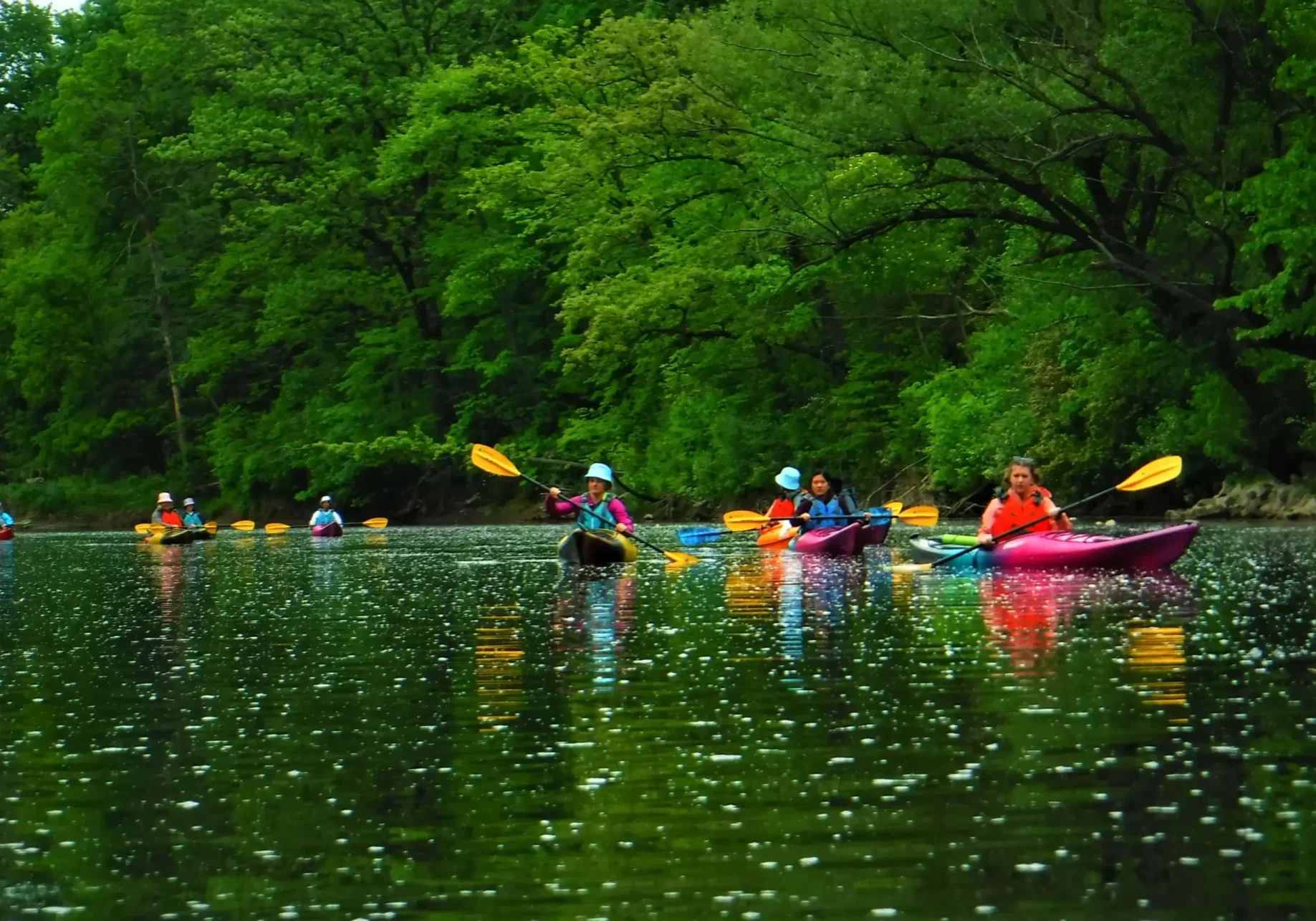 People kayaking on a calm river surrounded by lush green trees.