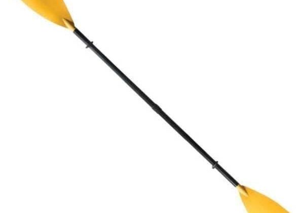 a kayak paddle - two blades at the end of a five foot long shaft